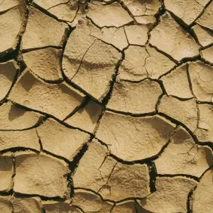 Clay material