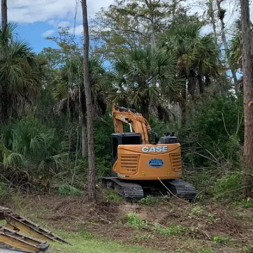 tree removal services